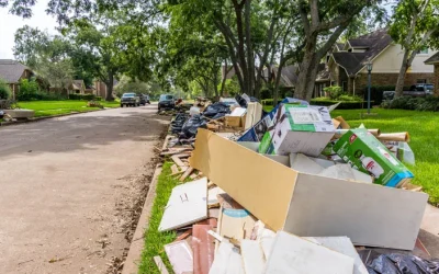 Reducing Yard Debris: 4 Tips for Minimizing Waste in Your Outdoor Spaces